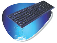 STANDARD KEYBOARD BLACK PS/2 / USB