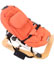 Concord Rio Rocker - Neon