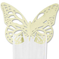 Confetti Iory lasercut butterfly place card pk10