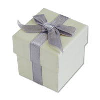 silver ribbon favour boxes