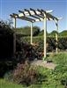 Pergola: Contemporary Pergola - B