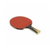 Cornilleau 300 Sport Table Tennis Bat