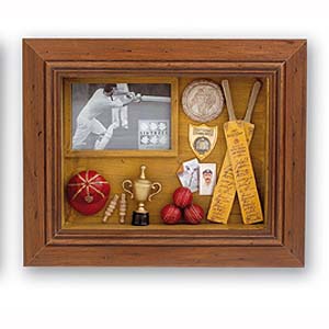 Cricket Shadow Box