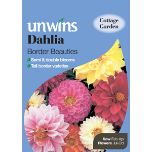 Dahlia Border Beauties Seeds