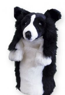 DAPHNE` BORDER COLLIE HEADCOVER