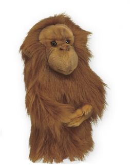 DAPHNE` ORANGUTAN HEADCOVER