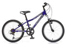 Dawes Lightning 2010 Kids Bike (20 Inch