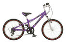 Dawes Redtail 20 Girls 2008 Kids Bike