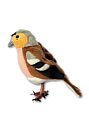 RSPB Chaffinch Finger Puppet