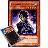 Deckboosters Yu-Gi-Oh : PTDN-EN024 1st Ed Shadowpriestess of Ohm Rare Card - ( Phantom Darkness YuGiOh Single Car