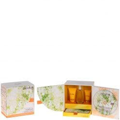 DECL&Eacute;OR NOURISHING AROMA KIT - ANGELIQUE