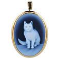 Cat Agate Cameo Pendant/Pin