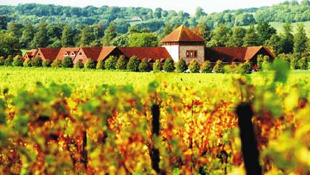 English Vineyard Tour