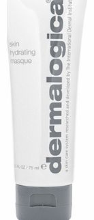 Dermalogica Skin Hydrating Masque (75ml)