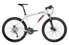 DBR Race 1 2008 Mountain Bike