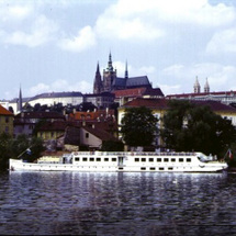 on Vltava River - Adult