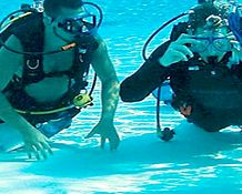 Discover Scuba Diving (CY Dive) - West Coast -