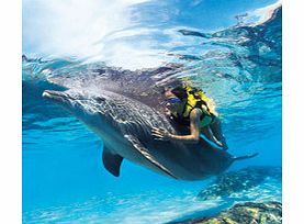 Discovery Cove (2015) - Non-Dolphin Swim Ticket