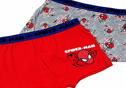 Disney KIDS GIRL BOYS 2 PACK UNDERWEAR BOXER SHORTS FROZEN SPIDERMAN TMNT HELLO KITTY (4/5, Hello kitty (red))