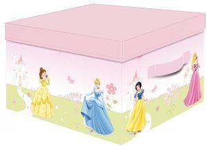 Princess Storage Box