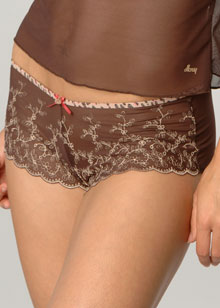 Jazz Embroidered Mesh boy leg brief