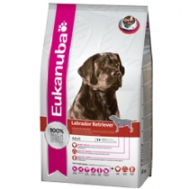 Eukanuba Breed Nutrition 12kg Adult Labrador