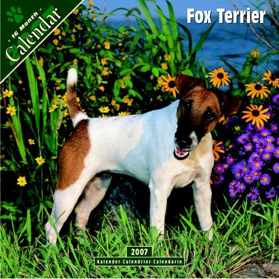 Dog Fox Terrier 2006 Calendar