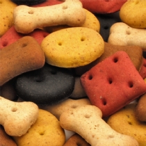 Pointer Dog Biscuits Bulk Treats Salmon Burgers