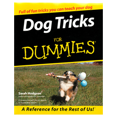 Tricks For Dummies