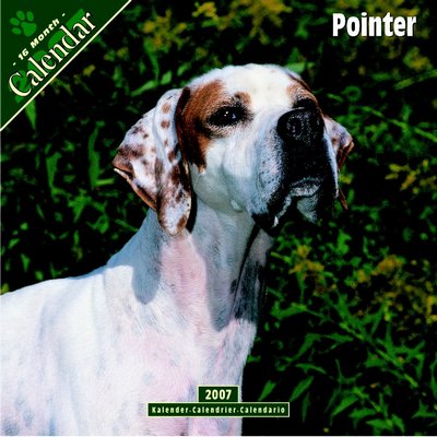 Dogs Pointer 2006 Calendar