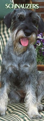 Dogs Schnauzer - SLIM 2006 Calendar