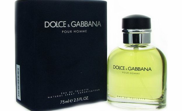 DOLCE GABBANA HOMME eau de toilette spray 75ml