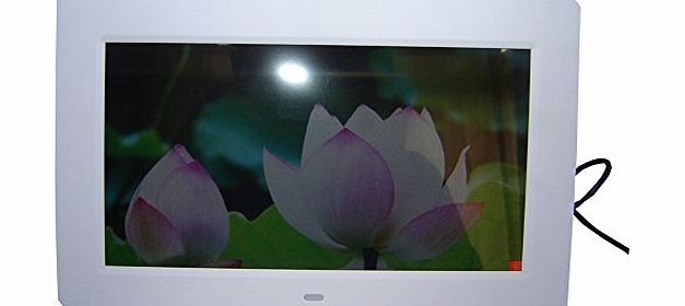 Dopobo 10 Inch HD Digital Photo Frame Electronic Album Advertising Digital Frame Support MMC/MS/SD MP3 MPEG4 AVI USB Flash Disk (white)