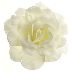 Dorothy Perkins Cream corsage