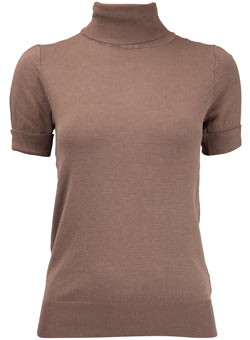 Dorothy Perkins Mocha roll neck jumper