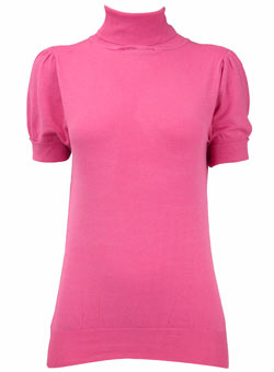 Dorothy Perkins Pink roll neck jumper