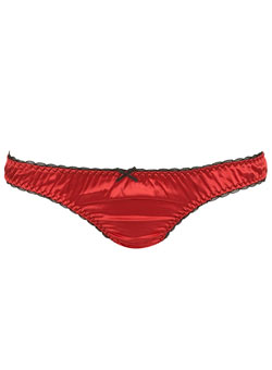 Red satin mesh mini