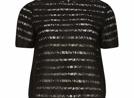 Dorothy Perkins Womens Black Stripe Lace Tee- Black DP05473124