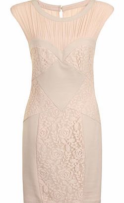 Dorothy Perkins Womens Little Mistress Cream Floral Bodycon