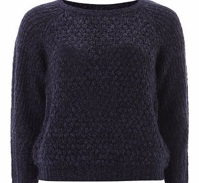 Dorothy Perkins Womens Petite bobble jumper- Blue DP79232501