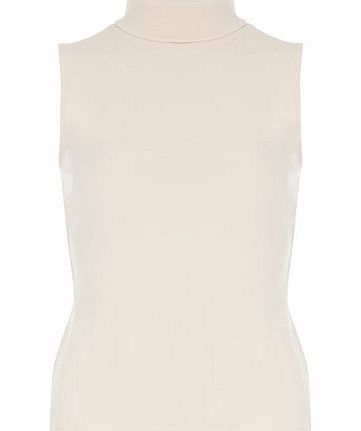 Dorothy Perkins Womens Petite crepe roll neck top- Pink DP79855415