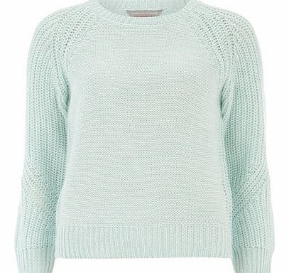 Womens Petite mint chunky jumper- Mint DP79234031