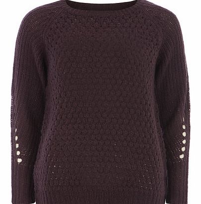 Dorothy Perkins Womens Red bobble stitch jumper- Purple DP55144688