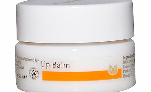 Lip Balm