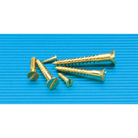 100 Brass Tra.S/Screw 2.1/2X10