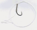 Carp Feeder Hair Rigs