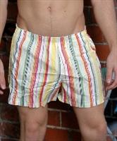 dt Stripes Boxer Short