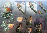 A4 3D step by step Dufex die cut decoupage sheet - Christmas - robins