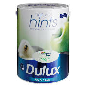 Dulux Hints Matt Apple White 5L