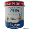 Rich Matt Pure Brilliant White 3Ltr for